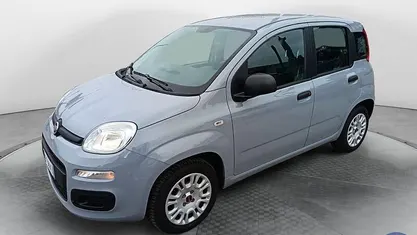 Usata Fiat Panda Easy 69 CV (50 kW) 2019 Grigio Berlina
