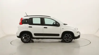 Usata Fiat Panda City Life 70 CV (51 kW) 2022 Biancobianco Utilitaria