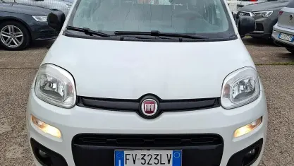 Usata Fiat Panda 69 CV (50 kW) 2019 Bianco Utilitaria
