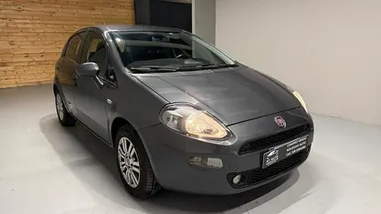 Usata Fiat Punto Lounge 69 CV (50 kW) 2016 Grigio Berlina