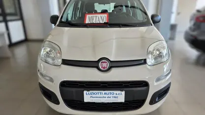 Usata Fiat Panda Easy 86 CV (63 kW) 2017 Beige Utilitaria