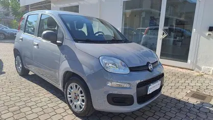 Usata Fiat Panda Easy 69 CV (50 kW) 2019 Grigio chiaro Utilitaria