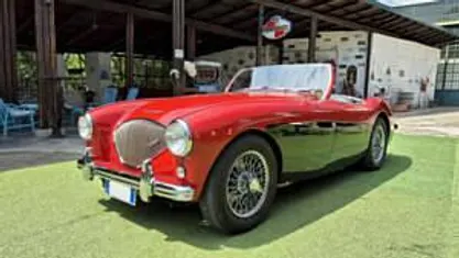 Usata 1954 Austin Healey 100 Cabrio | 68.000 €