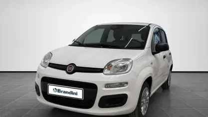 Nuova Fiat Panda Icon 65 CV (47 kW) 2026 Bianco Utilitaria