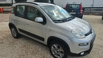 Usata Fiat Panda 4x4 S 95 CV (69 kW) 2016 Argento Utilitaria