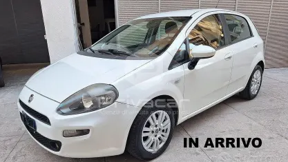 Usata Fiat Punto Lounge 85 CV (62 kW) 2013 Bianco Utilitaria