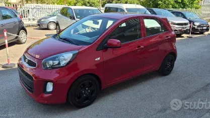 Usata Kia Picanto Active 67 CV (49 kW) 2017 Rosso Utilitaria