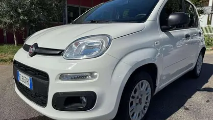 Usata Fiat Panda Easy 69 CV (50 kW) 2019 Bianco Berlina