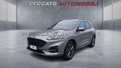 Usata Ford Kuga ST-Line 225 CV (165 kW) 2023 Argento SUV