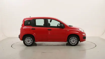 Usata Fiat Panda Easy 69 CV (50 kW) 2019 Rossorosso Utilitaria
