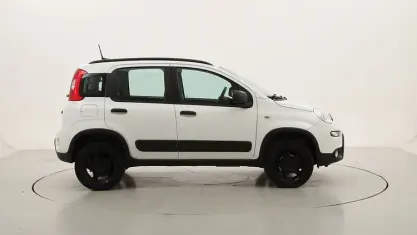 Usata Fiat Panda 4x4 Wild 85 CV (62 kW) 2022 Utilitaria