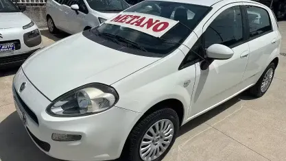 Usata Fiat Punto Easy 77 CV (56 kW) 2013 Bianco Utilitaria
