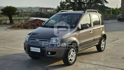 Usata Fiat Panda 4x4 Climbing 75 CV (55 kW) 2012 Grigio Utilitaria