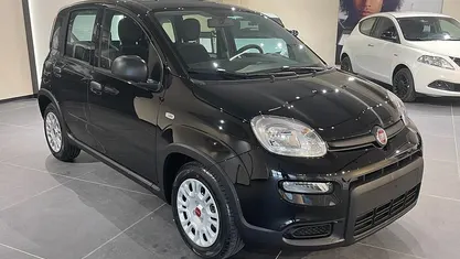 Nero Usata 2024 Fiat Panda Due volumi | 10.850 € (Ottimo prezzo)