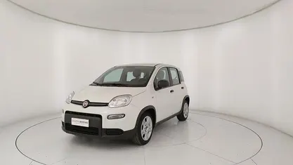 Usata Fiat Panda S 69 CV (50 kW) 2023 Bianco Utilitaria