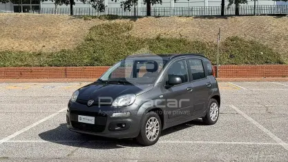 Usata Fiat Panda Lounge 69 CV (50 kW) 2019 Grigio Utilitaria