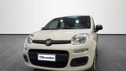 Usata Fiat Panda Easy 69 CV (50 kW) 2017 Bianco Utilitaria
