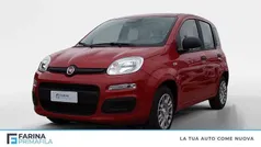 Rosso passione pastello Nuova 2025 Fiat Panda Due volumi | 12.900 € (Buon prezzo)