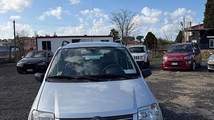 Usata Fiat Panda Dynamic 60 CV (44 kW) 2009 Grigio Utilitaria