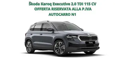 Usata Skoda Karoq Executive 116 CV (85 kW) 2025 SUV