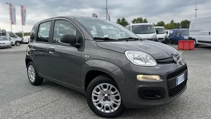 Usata Fiat Panda Easy 69 CV (50 kW) 2019 Grigio Utilitaria