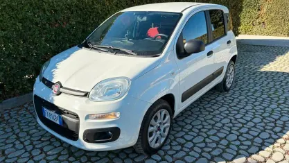 Usata Fiat Panda 4x4 Pop 85 CV (62 kW) 2019 Bianco Utilitaria