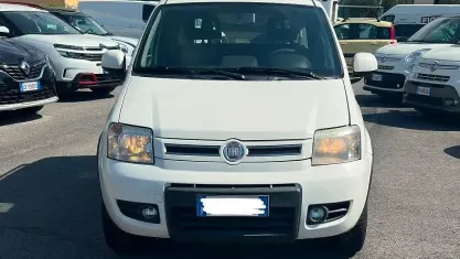 Usata Fiat Panda 4x4 Climbing 75 CV (55 kW) 2011 Bianco Utilitaria