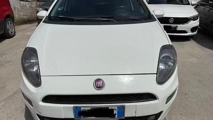 Usata Fiat Punto Lounge 85 CV (62 kW) 2013 Bianco Utilitaria