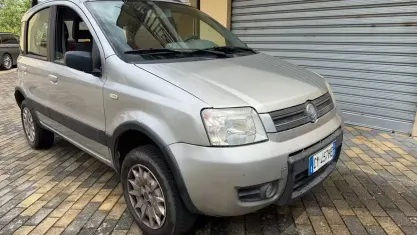 Usata Fiat Panda 4x4 Climbing 60 CV (44 kW) 2005 Grigio Utilitaria