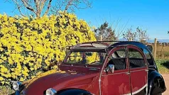 Usata 1984 Citroën 2CV Charleston Tre volumi | 6950 €