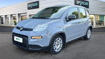 Usata Fiat Panda S 69 CV (50 kW) 2022 Grigio Utilitaria