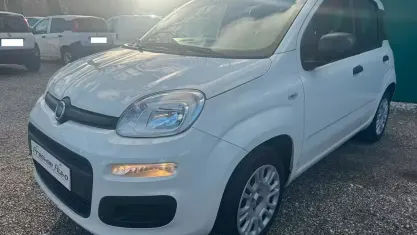 Usata Fiat Panda Easy 69 CV (50 kW) 2020 Bianco Utilitaria