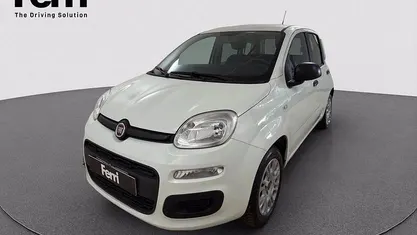 Usata Fiat Panda Easy 69 CV (50 kW) 2019 Utilitaria