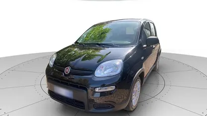 Usata Fiat Panda S 70 CV (51 kW) 2024 Nero Utilitaria