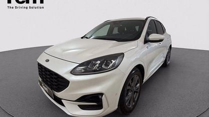 Gebraucht Ford Kuga ST-Line 190 PS (139 kW) 2023 Weiß SUV
