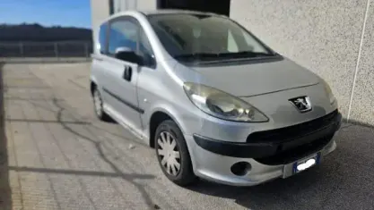 Usata Peugeot 1007 68 CV (50 kW) 2005 Argento Monovolume