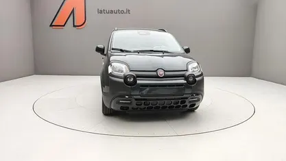 Usata Fiat Panda Cross Cross 69 CV (50 kW) 2025 Utilitaria