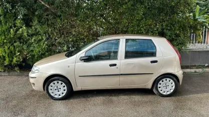Usata Fiat Punto Active 60 CV (44 kW) 2009 Oro Utilitaria