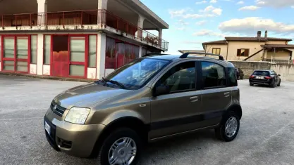 Usata Fiat Panda 4x4 Climbing 69 CV (50 kW) 2006 Beige Utilitaria