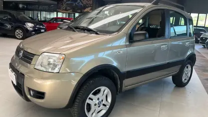Usata Fiat Panda 4x4 69 CV (50 kW) 2006 Bronzo Utilitaria