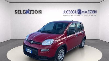 Usado Fiat Panda 70 CV (51 kW) 2024 Rojo Utilitario