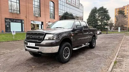 Usata Ford F-150 XLT 305 CV (224 kW) 2006 Pick-up