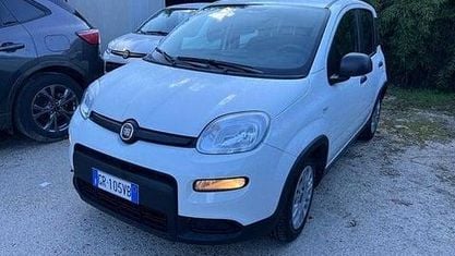 Usata Fiat Panda S 69 CV (50 kW) 2025 Bianco Utilitaria