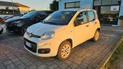 Usata Fiat Panda Easy 84 CV (61 kW) 2018 Bianco Utilitaria