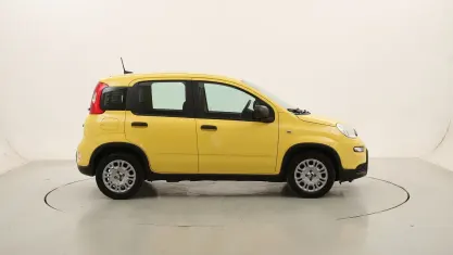 Usata Fiat Panda Pop 70 CV (51 kW) 2025 Giallo/orogiallo/oro Utilitaria