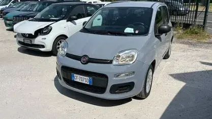 Usata Fiat Panda Easy 69 CV (50 kW) 2021 Grigio moda Utilitaria