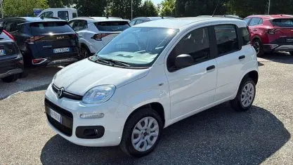 Usata Fiat Panda Easy 70 CV (51 kW) 2019 Bianco Utilitaria