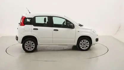 Usata Fiat Panda Easy 85 CV (62 kW) 2018 Utilitaria