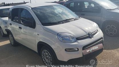Käytetty Fiat Panda S 70 HP (51 kW) 2023 Valkoinen Viistoperä