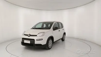 Usata Fiat Panda S 69 CV (50 kW) 2023 Bianco Utilitaria